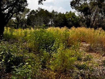 Primary bedroom at 11100 Fifth ST - Jonestown Hills, Jonestown, TX
