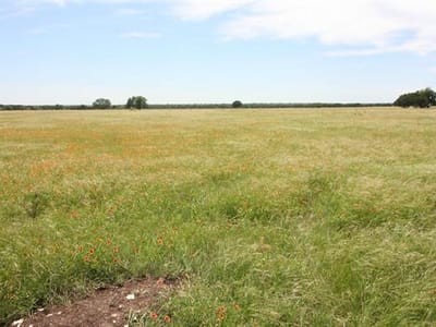 Primary bedroom at 1115 Tract 2 - County Road 204 - none, Burnet, TX