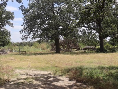 Property photo 3 at 112 Mesones RD - San Augustin, Florence, TX