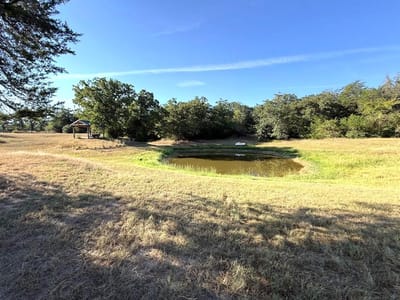 Living area at 1127 County Road 234 Rd - 1 bed 1 bath home