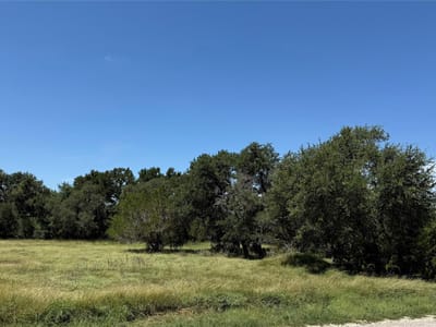 Primary bedroom at 113 N John Bird ST - Rockin J Ranch, Blanco, TX