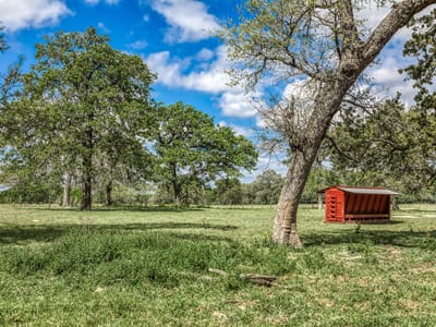 Kitchen at 11320 County Road 343 - 9999 - Other, Caldwell, TX