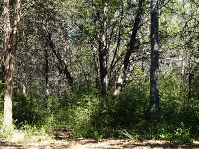 Primary bedroom at 1135 Private Road 7039 - Fedor Estates, Lexington, TX