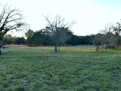 Living area at 1141 Settlers Rd - The Highlands Sec B, San Marcos, TX