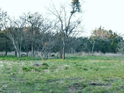 Primary bedroom at 1141 Settlers Rd - The Highlands Sec B, San Marcos, TX