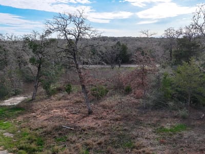 Primary bedroom at 115 Eaglenest Ct - Lake Thunderbird, Smithville, TX
