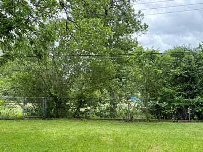 Primary bedroom at 11507 Oak TRL - 3 bed 2 bath home