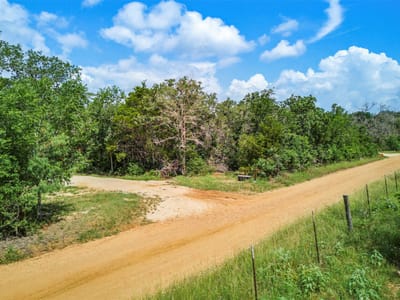 Property photo 4 at 1156 County Road 437 - 3 bed 2 bath home