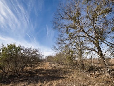 Property photo 4 at 11639 Voges PASS - Schertz, Schertz, TX