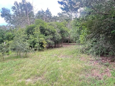 Primary bedroom at 117 Caddo - Indian Lake Section 1, Smithville, TX