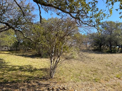 Property photo 5 at 118 Cactus Corner - Horseshoe Bay West, Horseshoe Bay, TX