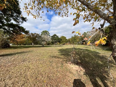 Primary bedroom at 118 Shore Front Dr - Circle D, Bastrop, TX