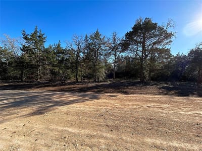 Primary bedroom at 119 C Milam Ln - Jewel and Betty Banks Subdivision, Cedar Creek, TX