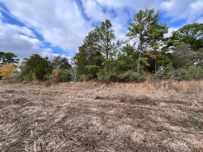 Primary bedroom at 120 Shore Front Dr - Circle D, Bastrop, TX