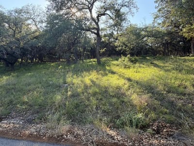 Primary bedroom at 1206 Fawn PARK - Emerald Bend Sec 01, Lago Vista, TX