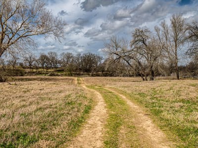 Property photo 2 at 121 Mechelle ST - Doty River Estates, Smithville, TX