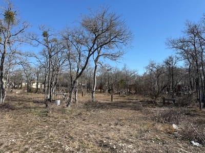 Primary bedroom at 121 Pink Dahlia Dr - Los Milagros, Dale, TX