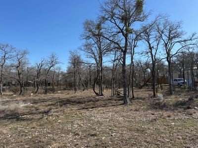 Property photo 2 at 121 Pink Dahlia DR - Los Milagros, Dale, TX