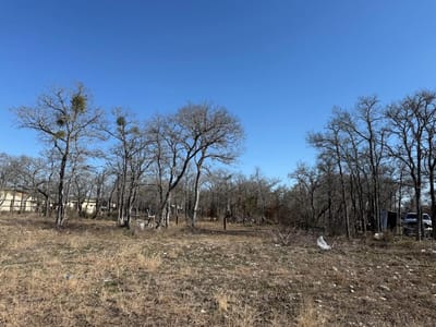 Property photo 4 at 121 Pink Dahlia DR - Los Milagros, Dale, TX