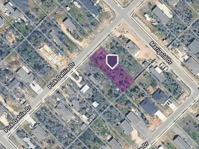 Property photo 5 at 121 Pink Dahlia DR - Los Milagros, Dale, TX