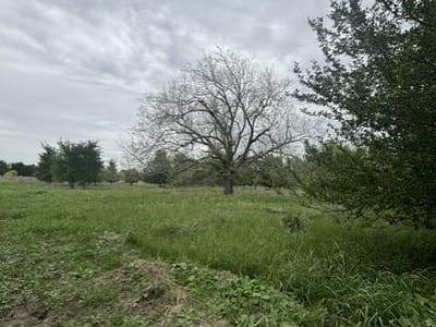 Property photo 5 at 12155 E Travis ST - Starke Farms, Holland, TX
