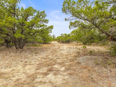 Primary bedroom at 1216 Overland Stage Rd - Stagecoach Ranch Sec 2, Dripping Springs, TX