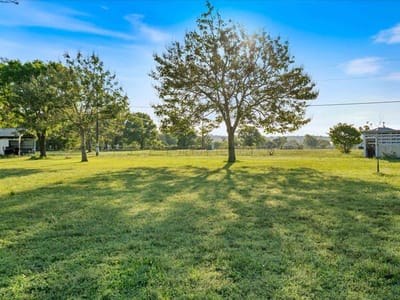 Backyard with expansive acreage and mature oak trees at 1218  Lovers Ln - Austin, Stephen F, Bastrop, TX