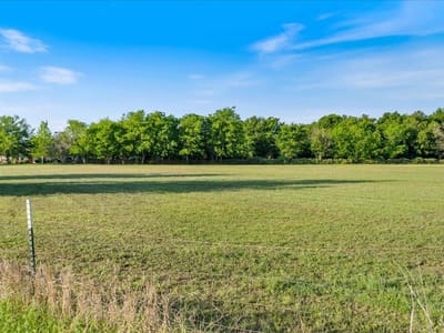 Backyard with expansive acreage and mature tree line at 1218  Lovers Ln - Austin, Stephen F, Bastrop, TX