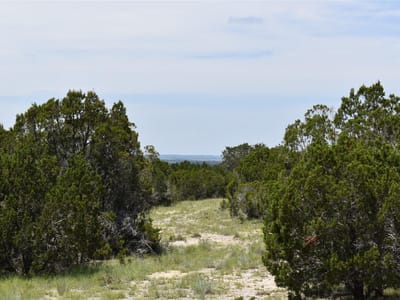 Kitchen at 122 Reserve Way - Homestead Hills, Lampasas, TX