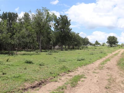 Primary bedroom at 1220 Brushy Branch RD - Shupe, Samuel, Lockhart, TX
