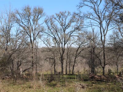 Primary bedroom at 1223 County Road 429 - Dime Box, TX