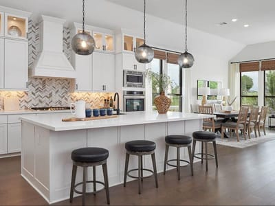 Kitchen at 123 Constitution WAY - 4 bed 3 bath home