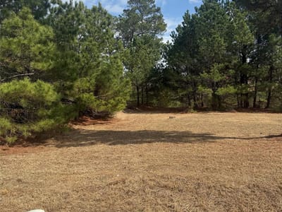 Living area at 123 Koali Dr - Tahitian Village,, Bastrop, TX
