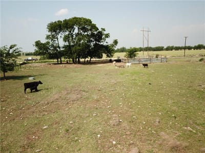 Photo 3 of 6 at 1230 County Road 248 - Gatesville, Gatesville, TX
