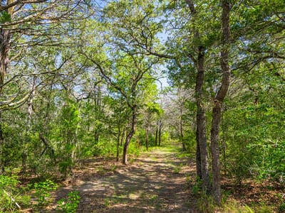 Photo 3 of 21 at 1247 Sand Hills Road - Rosanky, Rosanky, TX
