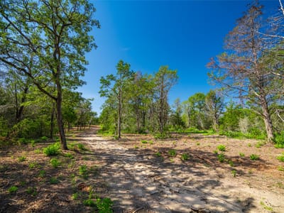 Photo 5 of 21 at 1247 Sand Hills Road - Rosanky, Rosanky, TX