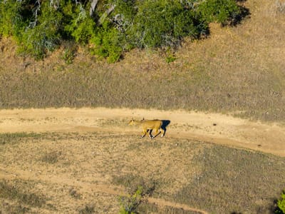 Property photo 4 at 125 Acres Pump Station RD - none, Wimberley, TX