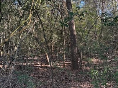 Property photo 3 at 125 Helemano DR - Tahitian Village,, Bastrop, TX