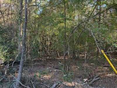 Property photo 5 at 125 Helemano DR - Tahitian Village,, Bastrop, TX