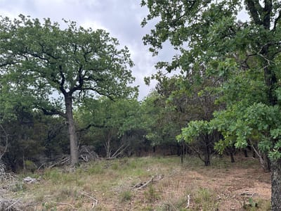 Property photo 5 at 126 Cottonwood DR - E Norton, Gatesville, TX
