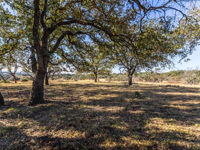 Primary bedroom at 1260 County Road 2001 - Lampasas, TX