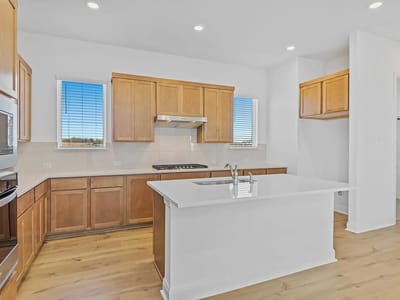 Primary bedroom at 127 Silverbell Ln - 4 bed 3 bath home