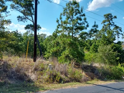 Property photo 2 at 128 Mokalau DR - Tahitian Village,, Bastrop, TX