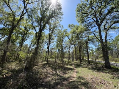 Primary bedroom at 1285 Burdette Wells Rd - A022, Lockhart, TX
