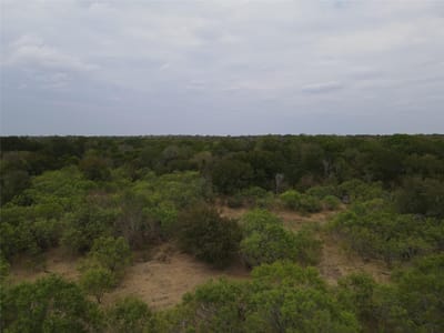 Property photo 4 at 1285 Burdette Wells RD - A022, Lockhart, TX