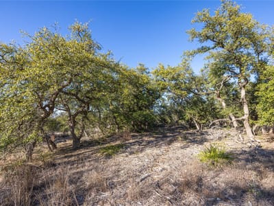 Primary bedroom at 130 Panorama Dr - Hilltop Place Sec 1, Wimberley, TX