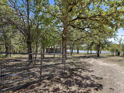Primary bedroom at 131 Moccasin Bend Dr - 2 bed 1 bath home