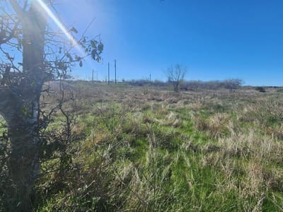 Property photo 2 at 13109 Candide LN - El Dorado, Kyle, TX
