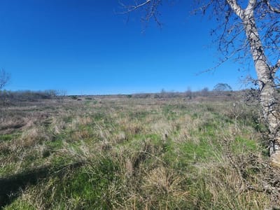 Property photo 5 at 13109 Candide LN - El Dorado, Kyle, TX