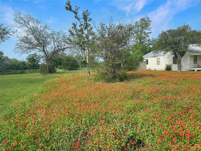 Kitchen at 1314 Farm St - Farm Lt, Bastrop, TX